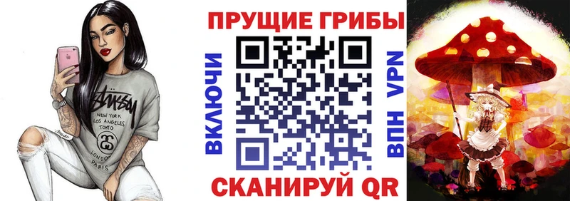 сколько стоит  Змеиногорск  МЕГА как войти  Галлюциногенные грибы Psilocybine cubensis 